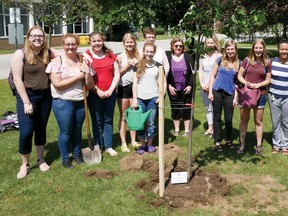 The new Interact club at Glendale High School, sponsored by the Rotary Club of Tillsonburg planted a special Canada 150 Celebration Tree Tuesday at the school in honour of the Key Club and its many years of service at Glendale. (Chris Abbott/Tillsonburg News)