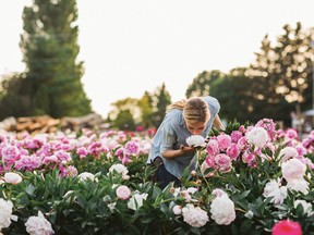 Erin Benzakein?s of Floret Farms sniffs a peony from a field in full bloom. (Michele M. Waite/Chronicle Books via AP)