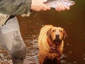 Neil and Penny with a  nice House River grayling