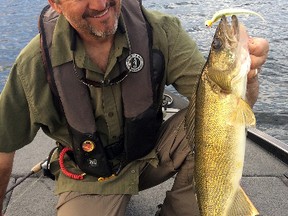 The lateral line is clearly indicated on this nice walleye that took to a jig being popped off a rocky shoreline recently. Photo supplied.