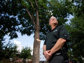 Davey Tree Experts' Kevin Cassells poses for a photo near 86 Avenue and 108A Street, in Edmonton Friday June 23, 2017.