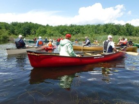 Submitted photo
Canoe and kayak enthusiasts spent Sunday on a 10 kilometre paddle trip down the Trent River. The expedition was part of the Outdoor Series offered through Lower Trent Conservation.