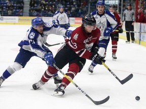 Sudbury Wolves David Levin battles for the puck with Kyle Rhodes of the Guelph Storm during OHL action in Sudbury, Ont. on Friday, December 30, 2016. Gino Donato/Sudbury Star/Postmedia Network