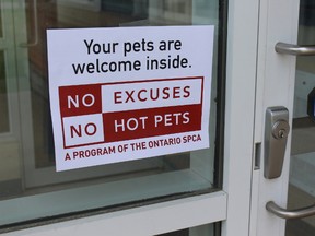Ontario SPCA is encouraging pet-friendly businesses to sign up for their new summer initiative. The animal welfare agency is taking aim at pets left in vehicles with its new No Excuses, No Hot Pets campaign. (Contributed)
