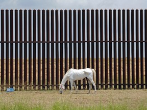 A horse grazes the land on May 12, 2017, along the U.S. border wall in Brownsville, Texas. (Miguel Roberts/The Brownsville Herald via AP)