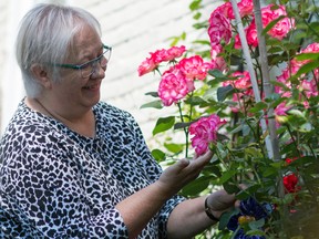 Taylor Bertelink/The Intelligencer
Irene Hiebert admires the roses at one of the eight gardens featured in the upcoming Town and Country Garden Tour in Belleville on July 8.
