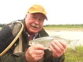 Neil with a mooneye from the Red Deer River tailwater below the Dickson Dam