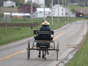 Old Order Mennonites