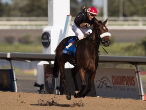 Luis Contreras aboard "Holy Helena" crosses the line to win the 158th running of the Queen's Plate horse race at Woodbine Race Track, in Toronto on Sunday, July 2, 2017. (THE CANADIAN PRESS/Mark Blinch)