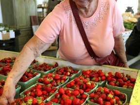 Linda Abbink of St. Thomas selects a quart of freshly picked strawberries at Talbotville Berry Farm Market south of London, Monday. A normal season for strawberries has been a relief to growers after last year?s dry weather. (MIKE HENSEN, The London Free Press)