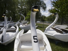 The swan ride at Centreville (STAN BEHAL, Toronto Sun)