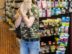 Cat Chance volunteer Ashly Boss holds a cat recently at a Pet Valu store in Sarnia. The volunteer group is looking for more prospective owners to adopt rescues. (Handout)