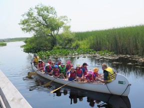 There’s much more to see at Ontario’s lakeside parks than the beach. Travel writer Bob Boughner notes that our provincial and national parks in Ontario also offer a wonderful opportunity to get close to some unique environmental zones. Here, a group observes some of the nature at Point Pelee National Park. (Handout)