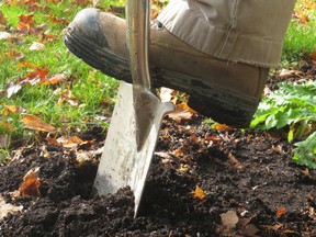 A garden tool can last a long time if you get one that's well-crafted and features the right material. (Photo supplied)