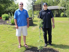 Lucknow Legion recently planted a piece of Canadian history at Water Works Park to commemorate the 100th anniversary of Vimy Ridge and Canada's 150th. Descendent saplings from Vimy Ridge were sold to qualifying groups and planted at sites throughout Canada. The trees planted are in honour of soldiers who fought at Vimy Ridge and other battles during the First World War. Pictured: L-R: Jeff Taylor and Jack Hayes of the Lucknow Legion stand with the Vimy Ridge oak tree sapling planted at Water Works Park in Lucknow. (Ryan Berry/Kincardine News and Lucknow Sentinel)