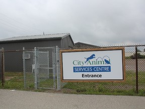 St. Thomas’ City Animal Services Centre can still be found at 100 Burwell Rd. but in a different building while renovations are being done at its permanent facility. (Laura Broadley/Times-Journal)
