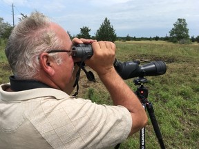 Kurt Hennige looks for eastern loggerhead shrike a property near Centreville that Nature Conservancy of Canada announced it was expanding on Monday, July 10, 2017.
Elliot Ferguson/Kingston Whig-Standard/Postmedia Network