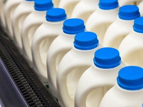 Several gallons of milk jugs are seen in a store fridge in this stock photo. (Getty Images)
