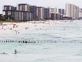 Dozens of beachgoers at Panama City Beach, Fla., form a human chain to rescue nine stranded swimmers swept away by a strong riptide on Saturday. (Roberta Ursrey)