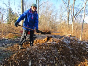 Brenda Lorenz is pictured in 2015 spreading wood chips next to Lake Chipican in Canatara Park, part of a project with the Sarnia Urban Wildlife Committee. It's merging with the city's Environmental Advisory Committee Oct. 3. (File photo)