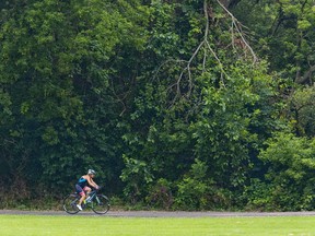 A cyclist cruises through Vauxhall Park in London, Ont. on Wednesday July 12, 2017. (DEREK RUTTAN, The London Free Press)