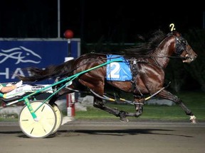 Huntsville couldn’t top Fear The Dragon last month, but will get another chance tomorrow at the Meadowlands Pace. New Image Media