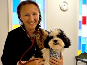 Veterinarian Galina Bershteyn checks out shih poo Edgar Allan Poe during a visit to her new clinic. Bershteyn recently opened Alternative Veterinary Services in London to offer a mix of eastern and western medicines. (CHRIS MONTANINI, Londoner)