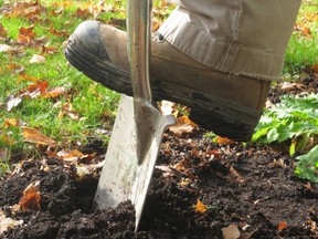 garden tool - shovel