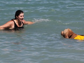Julie Moorehouse swims with Max just off Canatara Beach at the second annual Doggie Paddle Beachfest Saturday in Sarnia. About 500 dogs attended the event the year before, an organizer said. Tyler Kula/Sarnia Observer/Postmedia Network