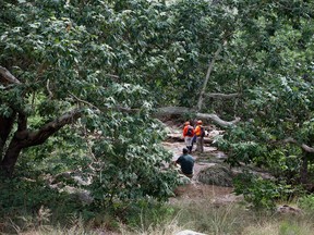 Tonto Search and Rescue volunteers search for missing swimmers near the Water Wheel Campground on Sunday morning, July 16, 2017, in the Tonto National Forest, Ariz., following Saturday's deadly flash-flooding at a normally tranquil swimming area in the national forest. (Alexis Bechman/Payson Roundup via AP)