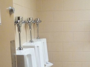 The urinals at the Terry Fox complex are clearly visible from the hallway when the door is left open, and at least one visitor is raising issues about privacy and decorum. (Photo supplied)