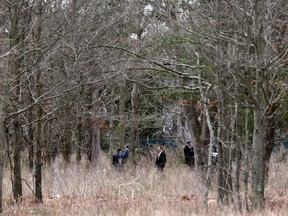 Crime scene investigators and other emergency personnel look through the woods near a crime scene in Central Islip, N.Y., Thursday, April 13, 2017. (AP Photo/Seth Wenig)