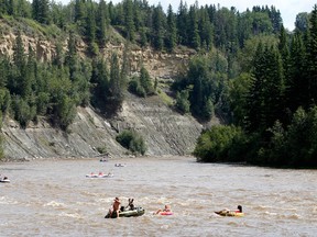 Groups of tubers tubing down the Pembina River. RICK MACWILLIAM / POSTMEDIA