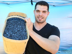 Brandon Leblond displays blueberries he has for sale at a stand on Highway 69 South in Sudbury, Ont. on Tuesday July 18, 2017. John Lappa/Sudbury Star/Postmedia Network