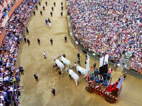 The crowd looks on as an oxen cart pulls the Palio banner through Siena's main square. (RICK STEVES PHOTO)