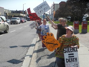 About half a dozen protesters stood on the sidewalk in front of the courthouse in Sudbury in relation to an animal abuse case.