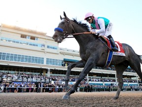 Arrogate won the $12 million Pegasus World Cup Invitational at Gulfstream Park earlier this year and is back from a break looking for more. Getty Images
