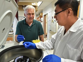 Professor of cell biology Tom Hobman, left, and researcher Zaikun Xu are investigating a possible link to HIV and neurological disorders. (ED KAISER)