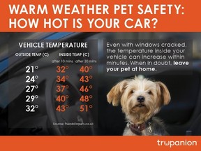 Don_t leave pets in hot vehicles
