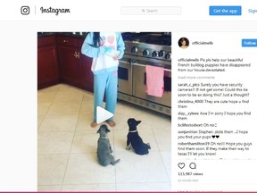 A screenshot of America's Got Talent host Mel B's Instagram account pleading for help finding her lost French Bulldog puppies on July 20, 2017. (Instagram/officalmelb)