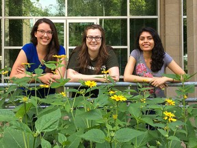 Members of the Kingston chapter of the Society for Conservation Biology, from left, Meghan Burton, Zoe Walter and Ashley Concessio, visit the bee garden created by the club at the Biosciences Complex on the Queen's University campus on Thursday. (Ashley Rhamey/The Whig-Standard)
