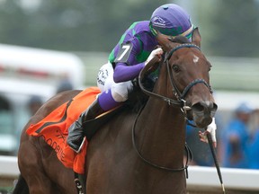 Jockey Luis Contreras guides Ami's Mesa to victory in the $125,000 Ontario Matron Stakes for owner Ivan Dalos and trainer Josie Carroll. (MICHAEL BURNS/Photo)