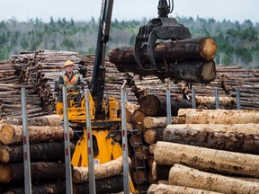 An employee loads logs at Ledwidge Lumber Co. in Halifax on Wednesday, May 10, 2017. THE CANADIAN PRESS/Darren Calabrese