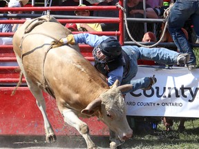 Bull riding