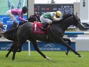 Rafael Hernandez rides Roger Attfield-trained Final Copy to victory in the Toronto Cup at Woodbine Racetrack yesterday. (Michael Burns/Photo)
