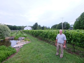 Marc Theberge is a co-owner at Domaine Bergeville, which focusses on sparkling wines. The winery is in a pretty building just a minute or two outside North Hatley, Quebec. JIM BYERS PHOTO