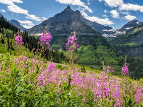 Glacier National Park (File, Getty Images)