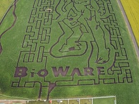 A design from Bioware's yet-to-be-released Anthem video game has been cut into the Edmonton Corn Maze.