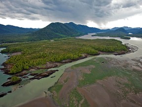 Looking across Flora Bank at low tide to the Pacific Northwest LNG site on Lelu Island, in the Skeena River Estuary near Prince Rupert. (File photo)