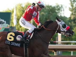 Jockey Luis Contreras guides Cool Catomine to victory in the $500,000 dollar Prince of Wales Stakes at Fort Erie racetrack last night.(Michael Burns photo)